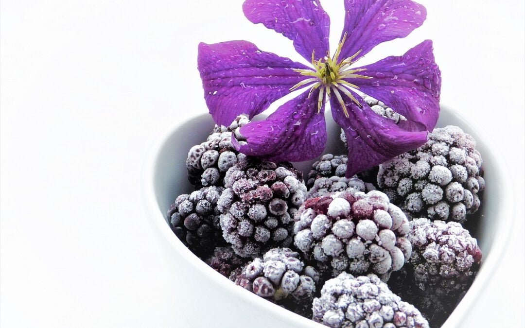 Koolhydraatarm Ontbijt: Start Je Dag Gezond