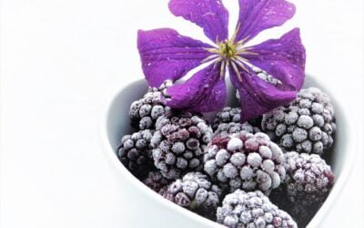 Koolhydraatarm Ontbijt: Start Je Dag Gezond